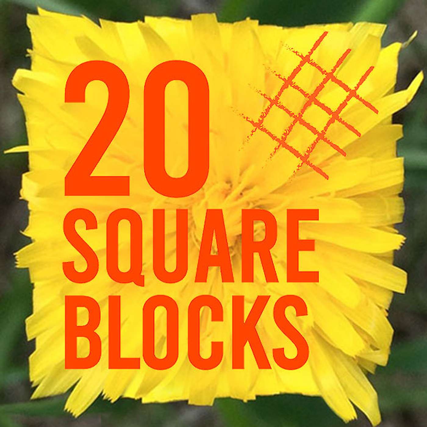 20 Square Blocks