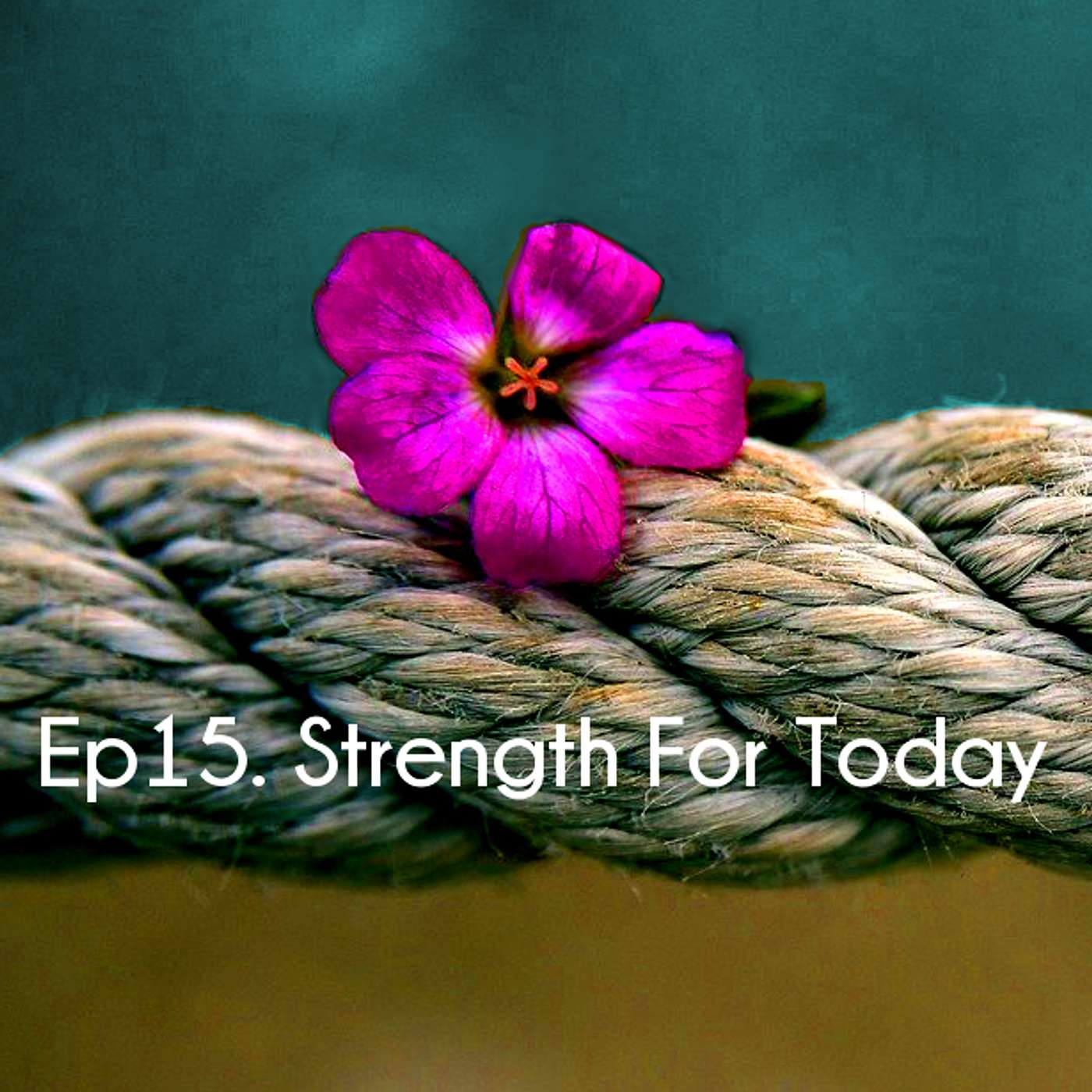 Ep 15. Strength For Today