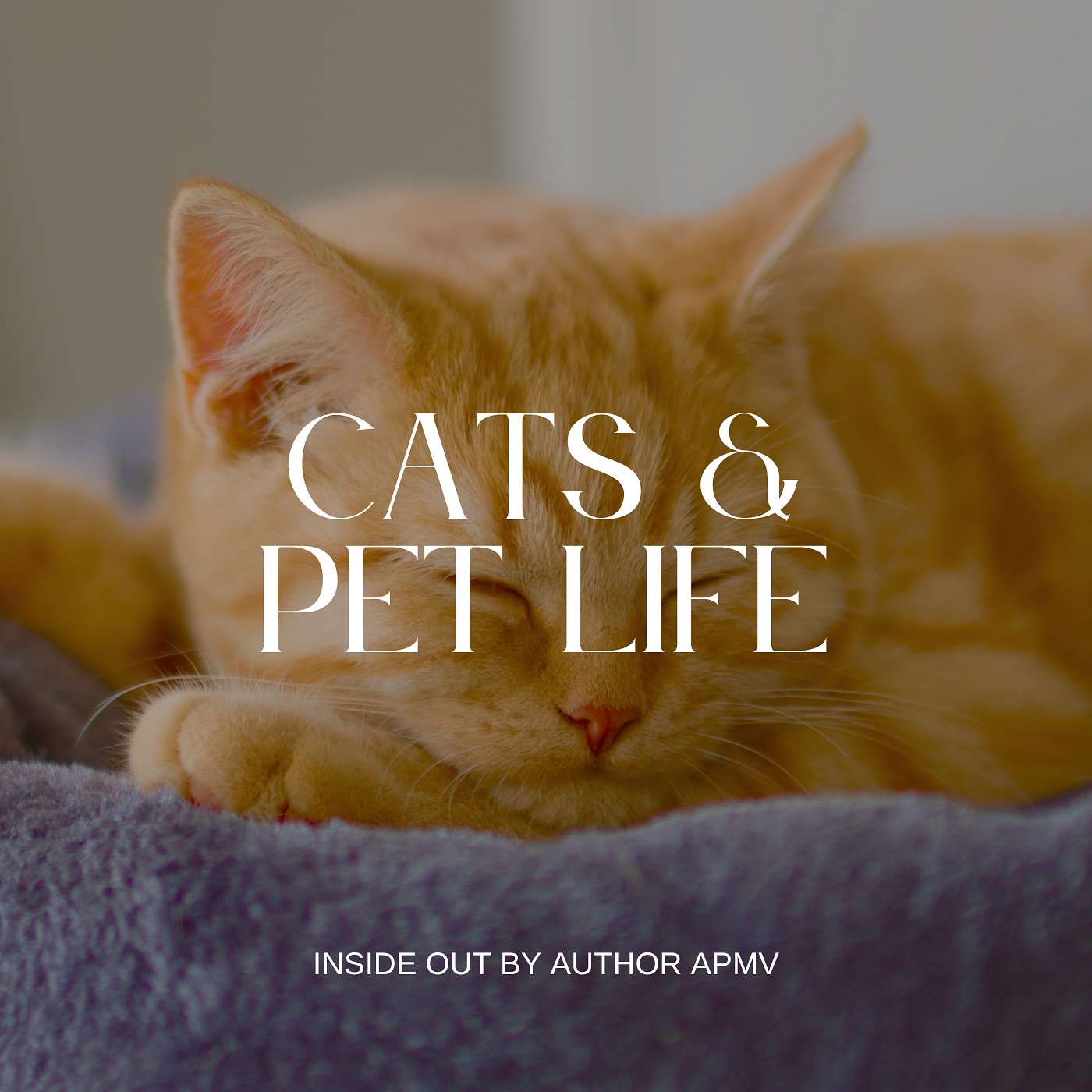 The Science of Purring — Healing Frequency? episode artwork