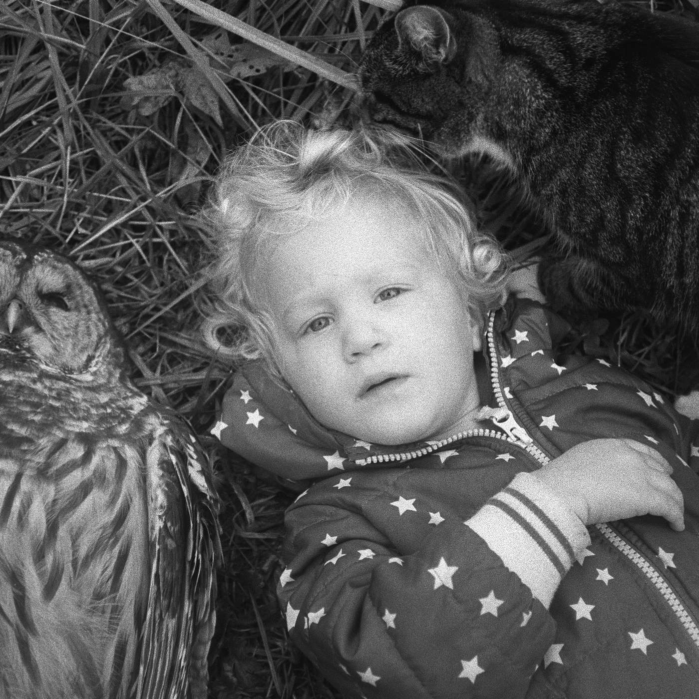 Why The Only Reason You Should Be a Photographer is Obsession - Jesse Lenz: E106