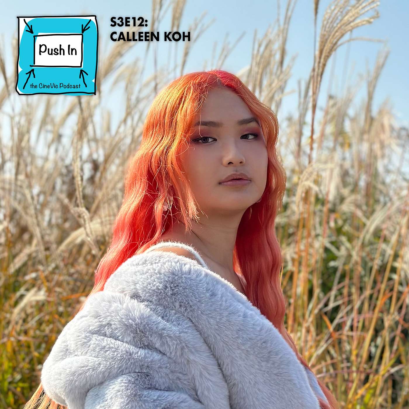 Push In - The CineVic Podcast