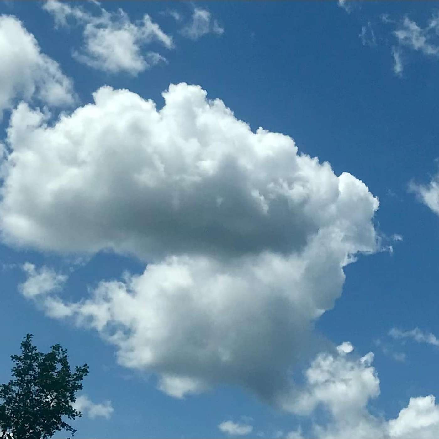 Risen from the Ashes - The Redemption Podcast