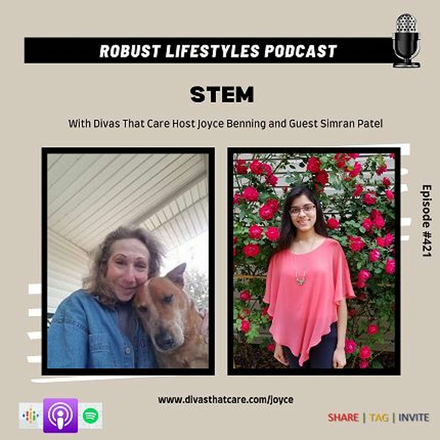 STEM episode artwork
