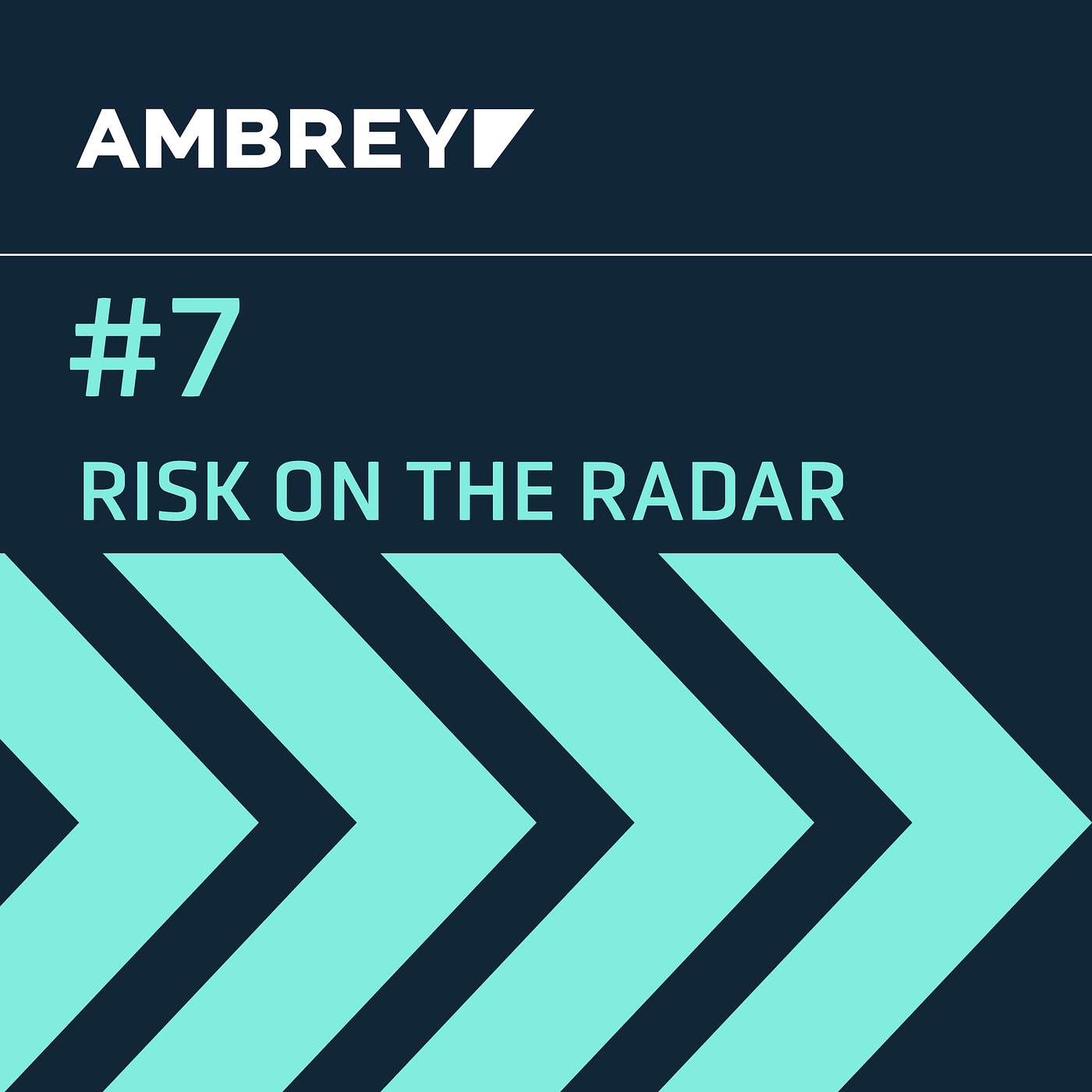 Risk on the Radar #7 episode artwork