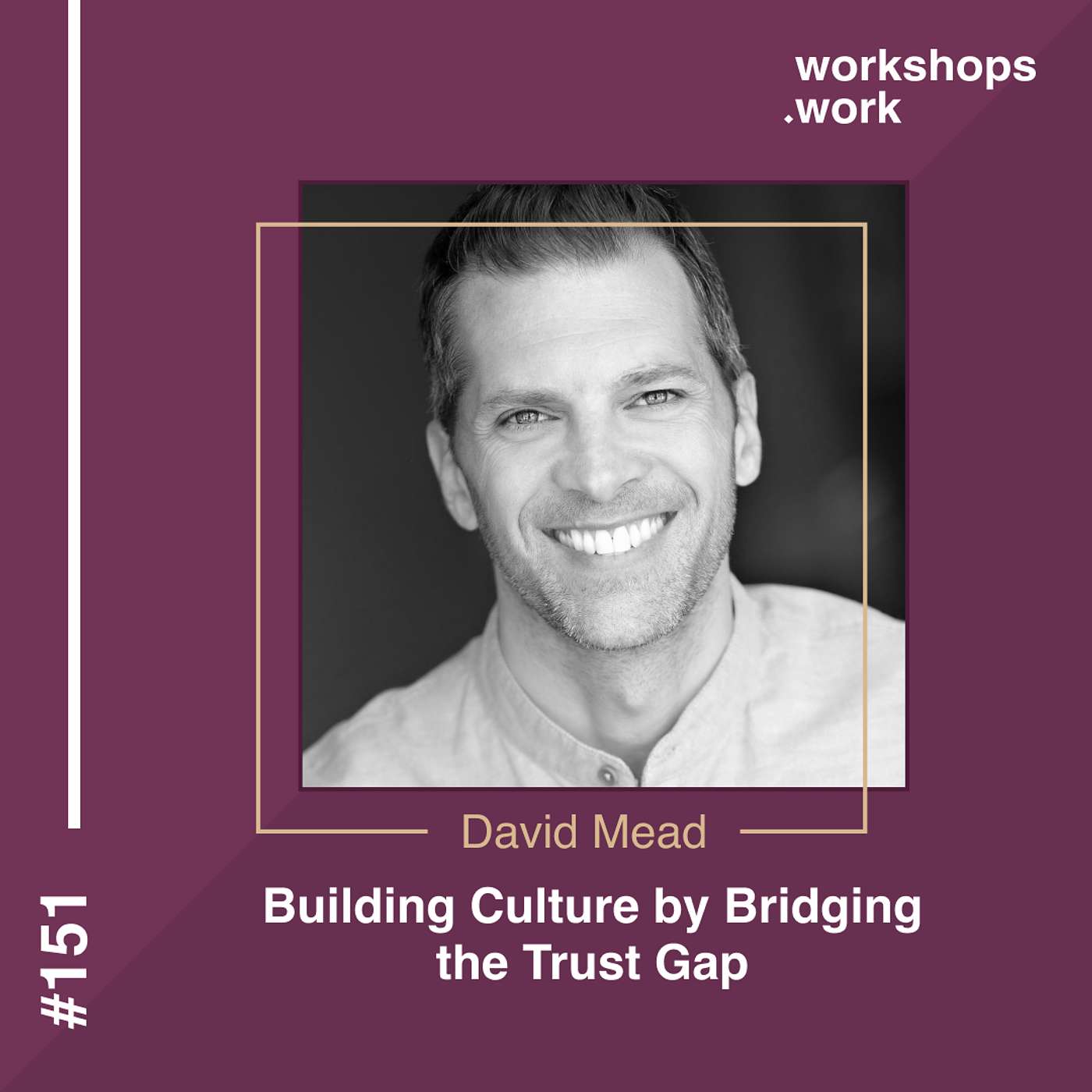 151 - Building Culture by Bridging the Trust Gap with David Mead