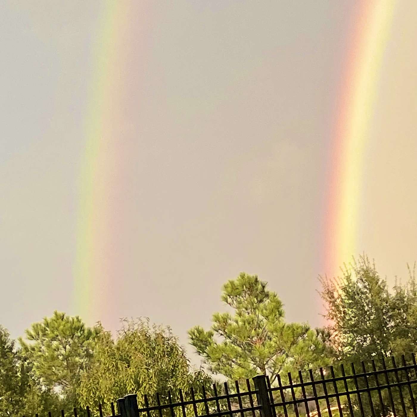 El Señor Omnipotente ! El Señor Omnipotente !