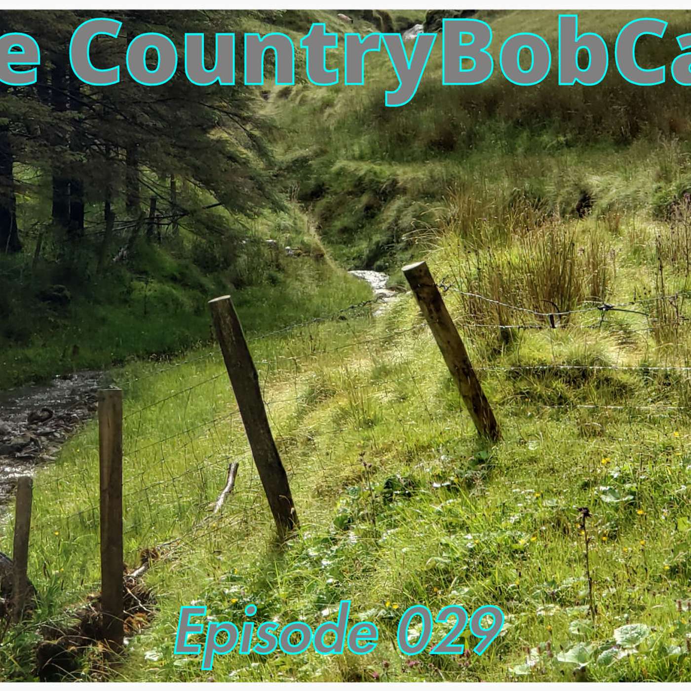 The CountryBobCast