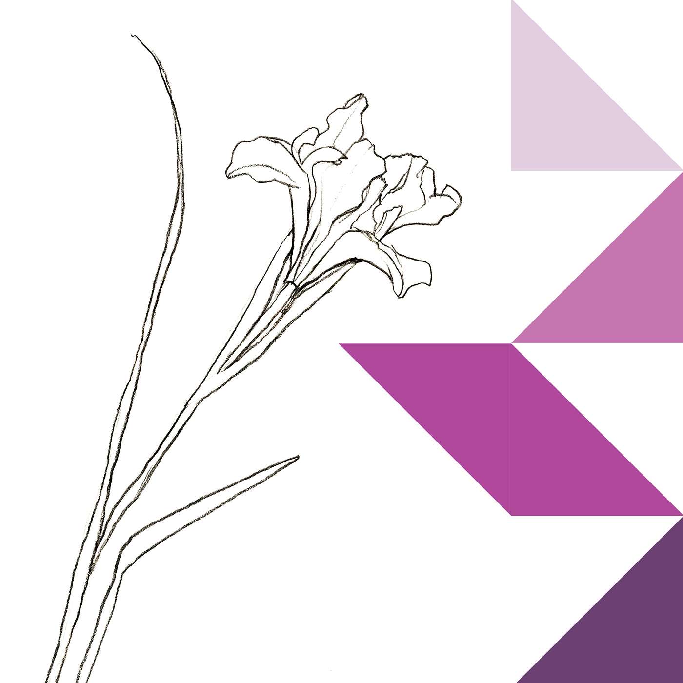 Gratitude Blooming Podcast