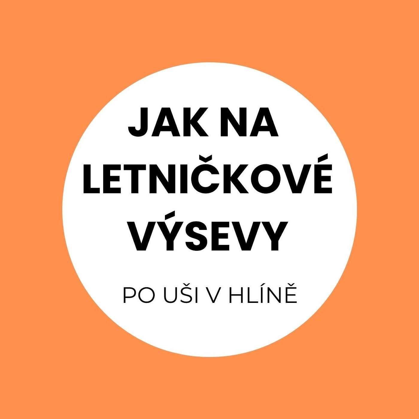 Proč si pořídit letničkový záhon a jak na něj