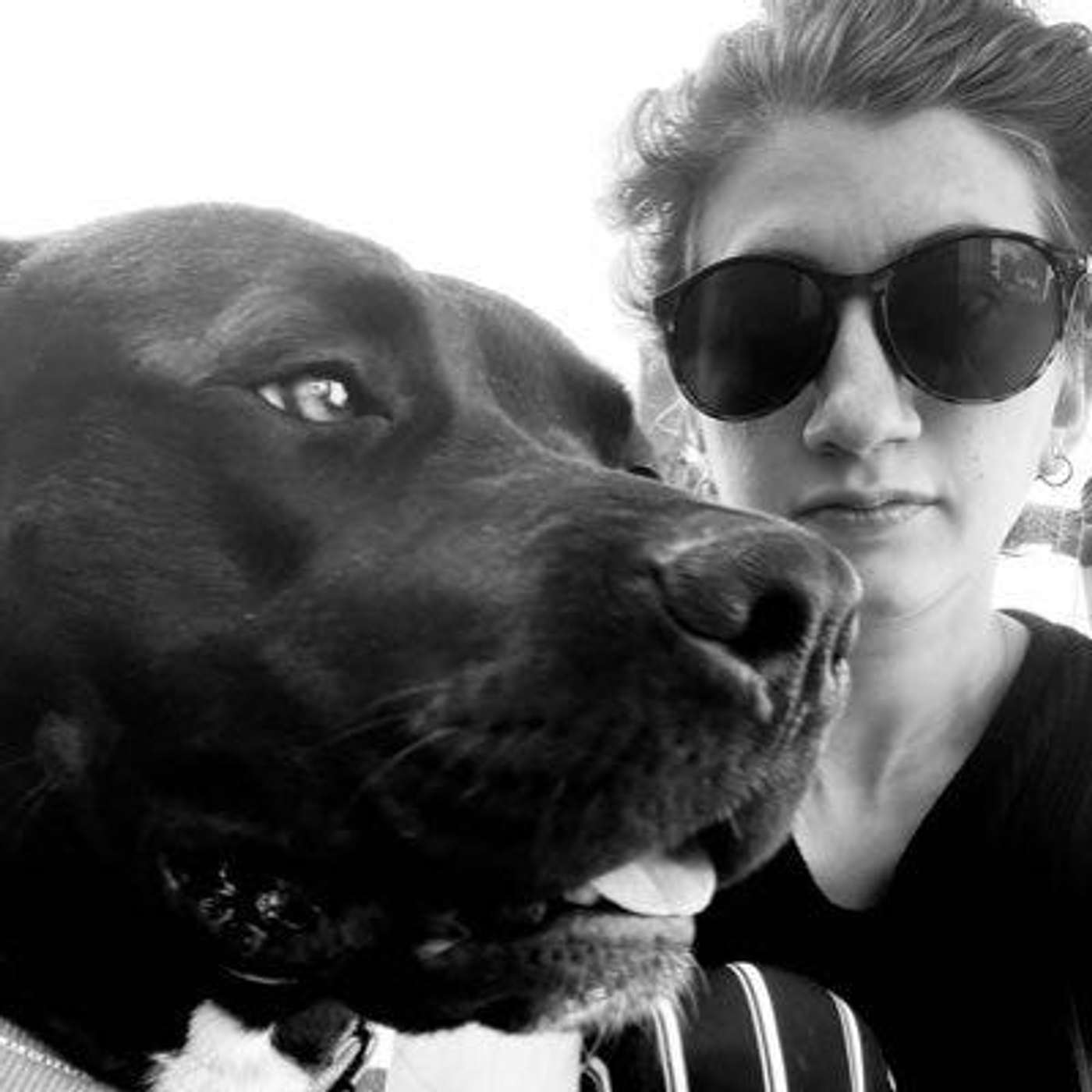 Another Fucking Writing Podcast