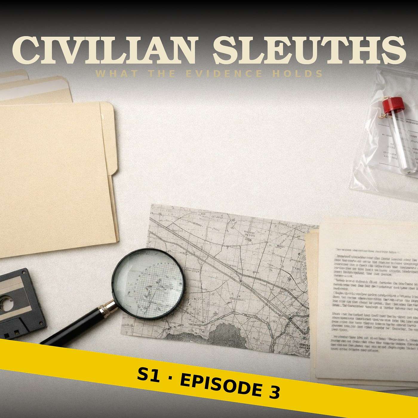 Denise McGregor: What The Evidence Holds episode artwork
