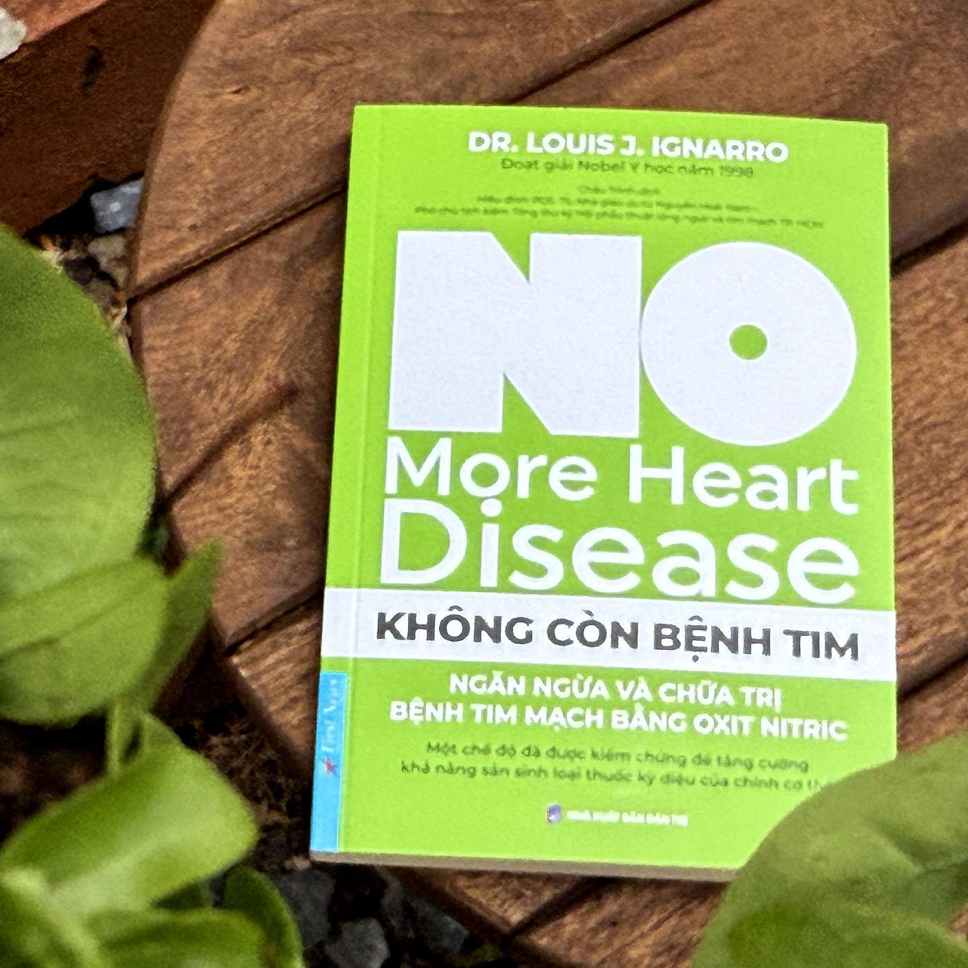 Không còn bệnh tim - Tác dụng kinh ngạc khi chữa bệnh bằng oxit nitric