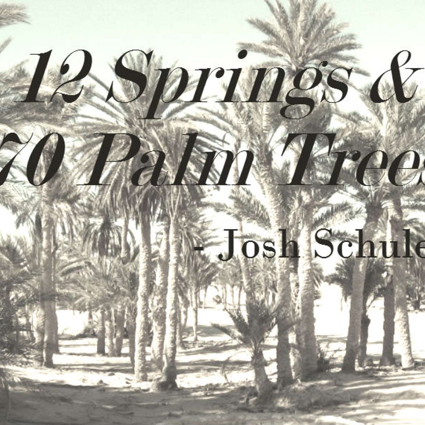 12 Springs & 70 Palm Trees