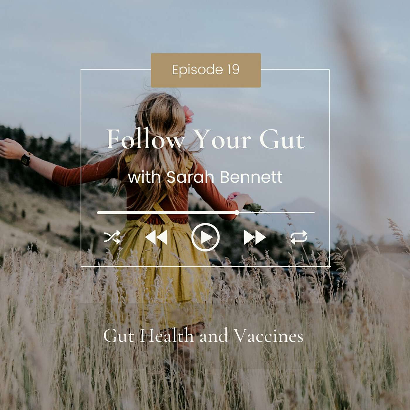Gut Health and Vaccines