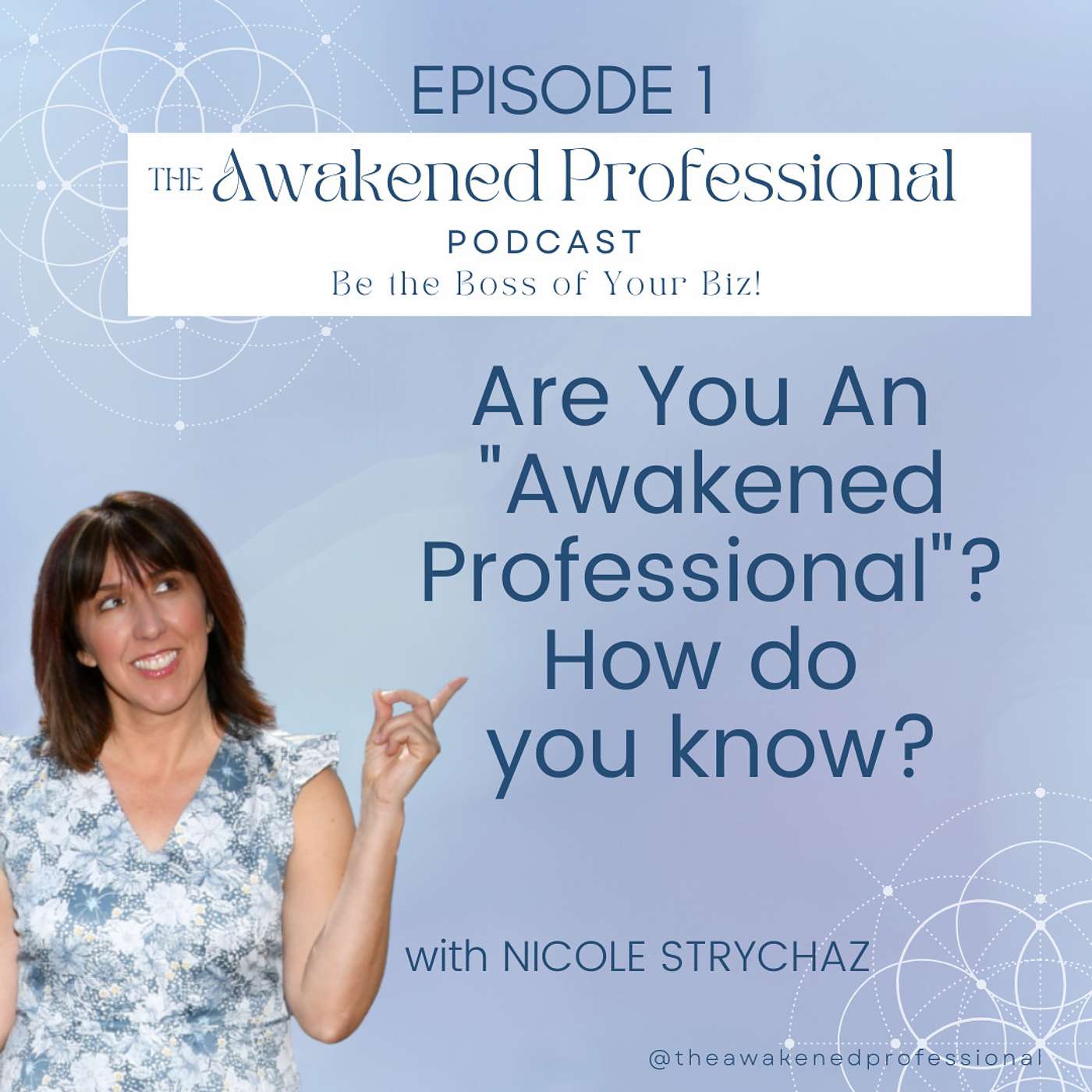 The Awakened Professional