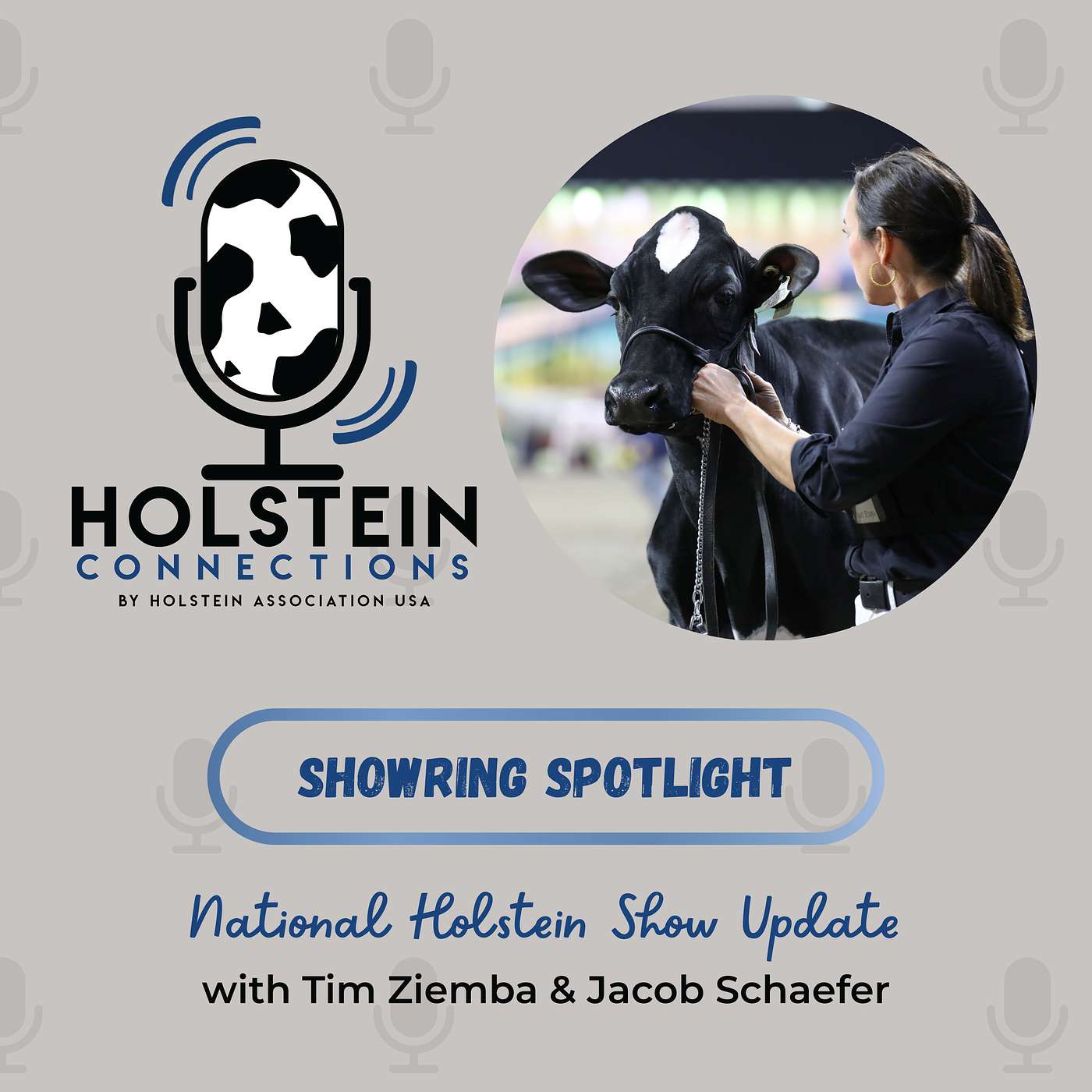 Showring Spotlight: National Holstein Show Update with Tim Ziemba Showring Spotlight: National Holstein Show Update with Tim Ziemba