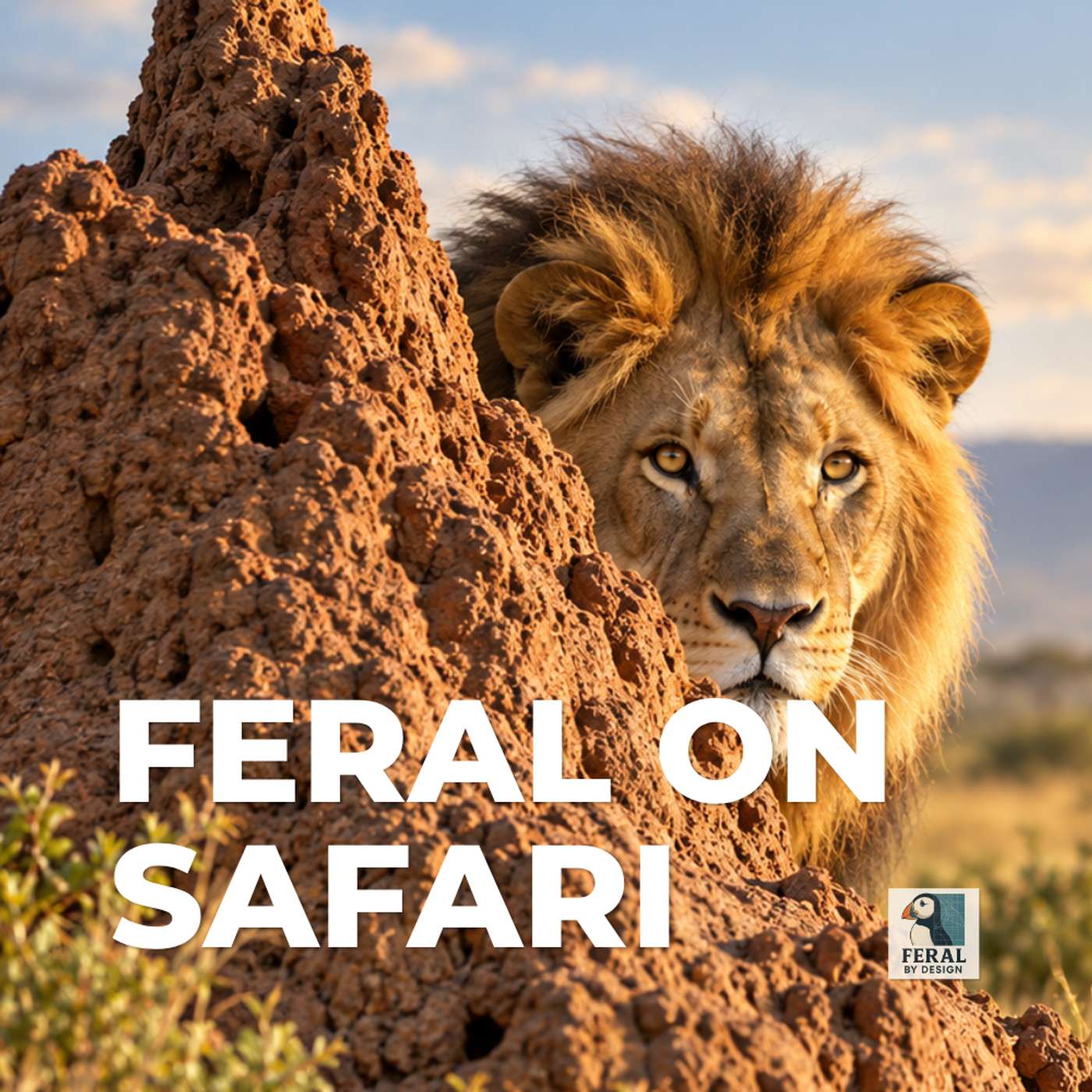 Looking for Lions, Finding Termites: Attention by Design episode artwork