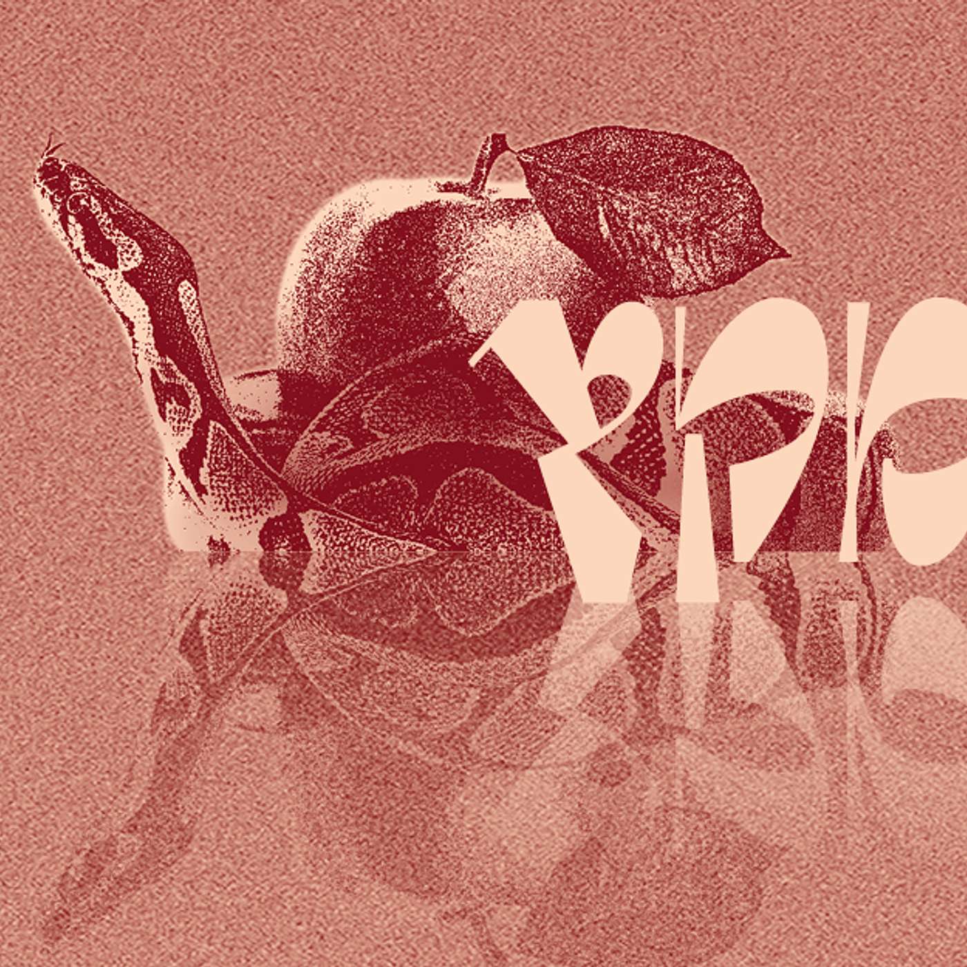 Parashat Miketz - Facing Reality  | Rabbi Shai Finkelstein episode artwork