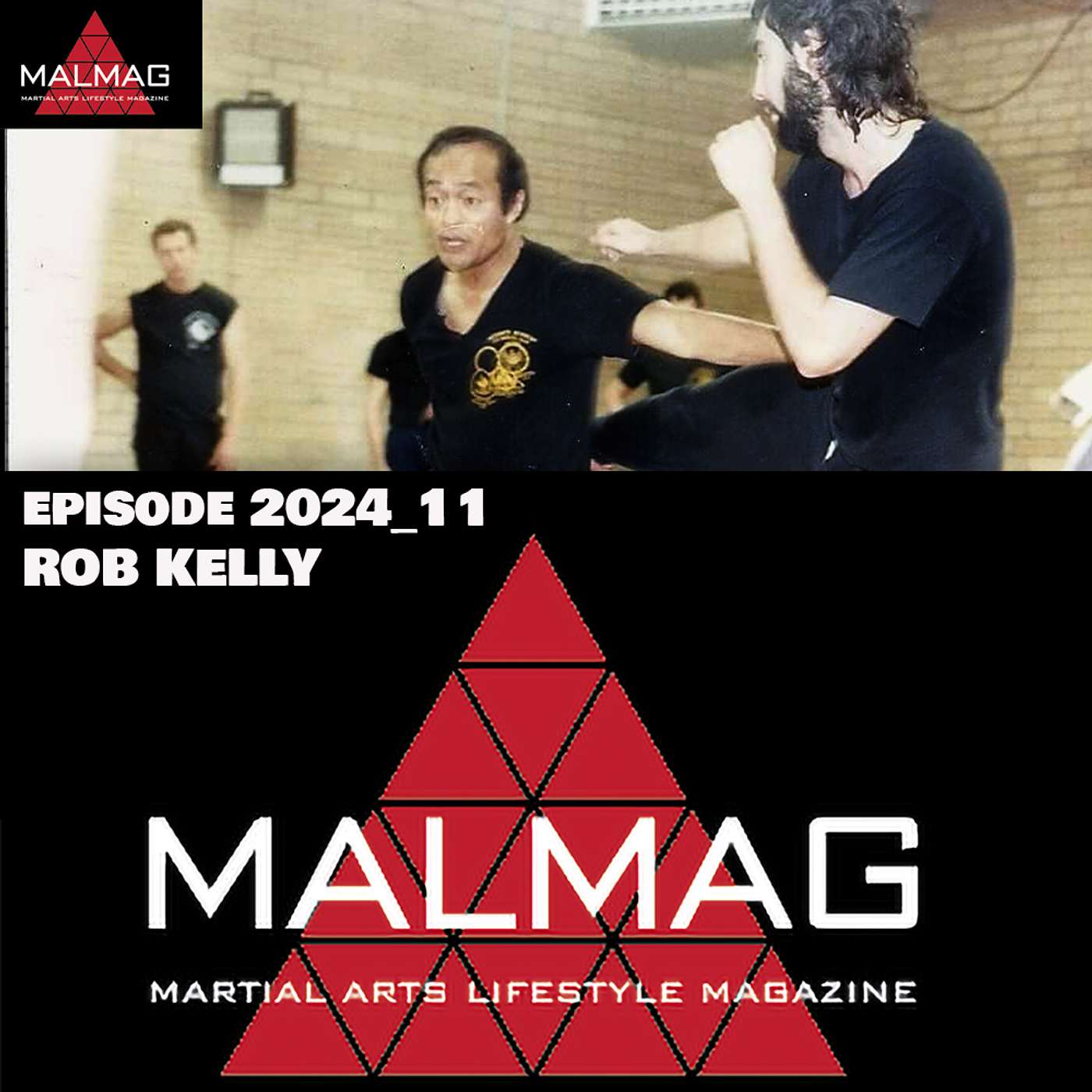 The Martial Arts Lifestyle Podcast