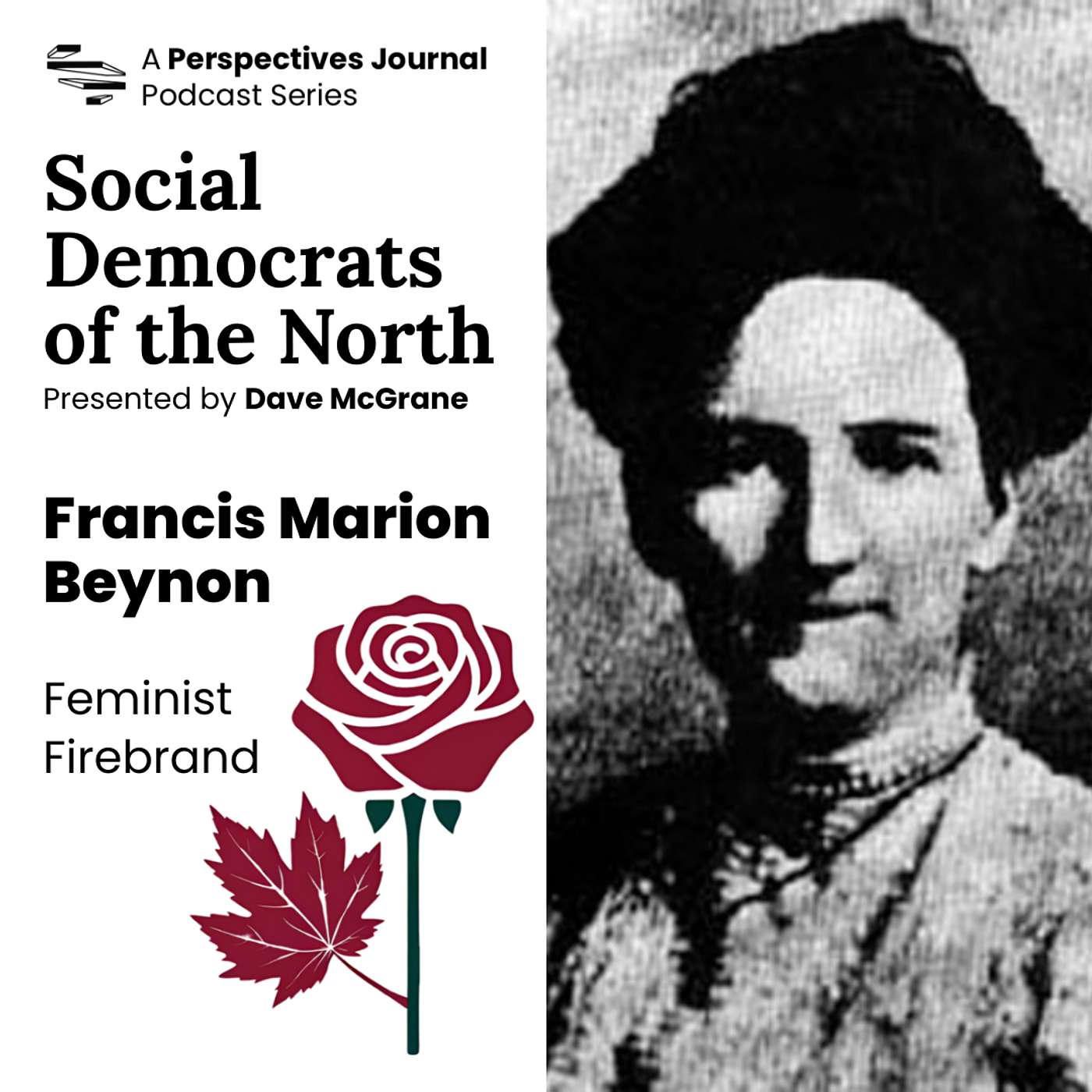 Social Democrats of the North: Francis Marion Beynon, Feminist Firebrand