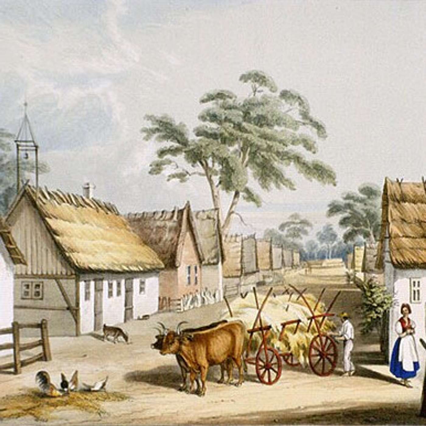 TLHP 06 A Brief History of Lutheranism in Australia with Jake Zabel Part I