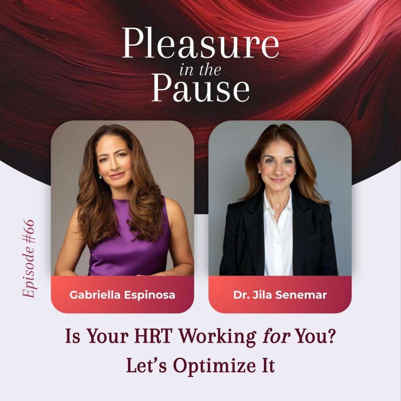 Pleasure In The Pause: Smart, Sexy Midlife Conversations about Menopause, Hormones & Female Pleasure