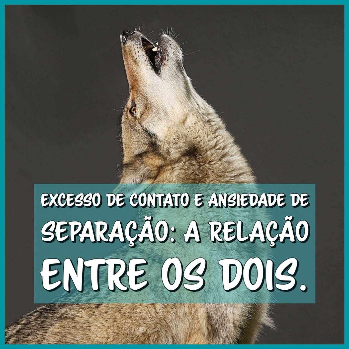 Excesso de contato e ansiedade de separação: a relação entre os dois. episode artwork