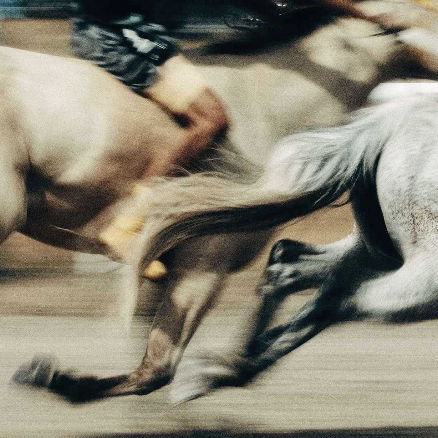 HORSEPOWER IX HORSEPOWER IX