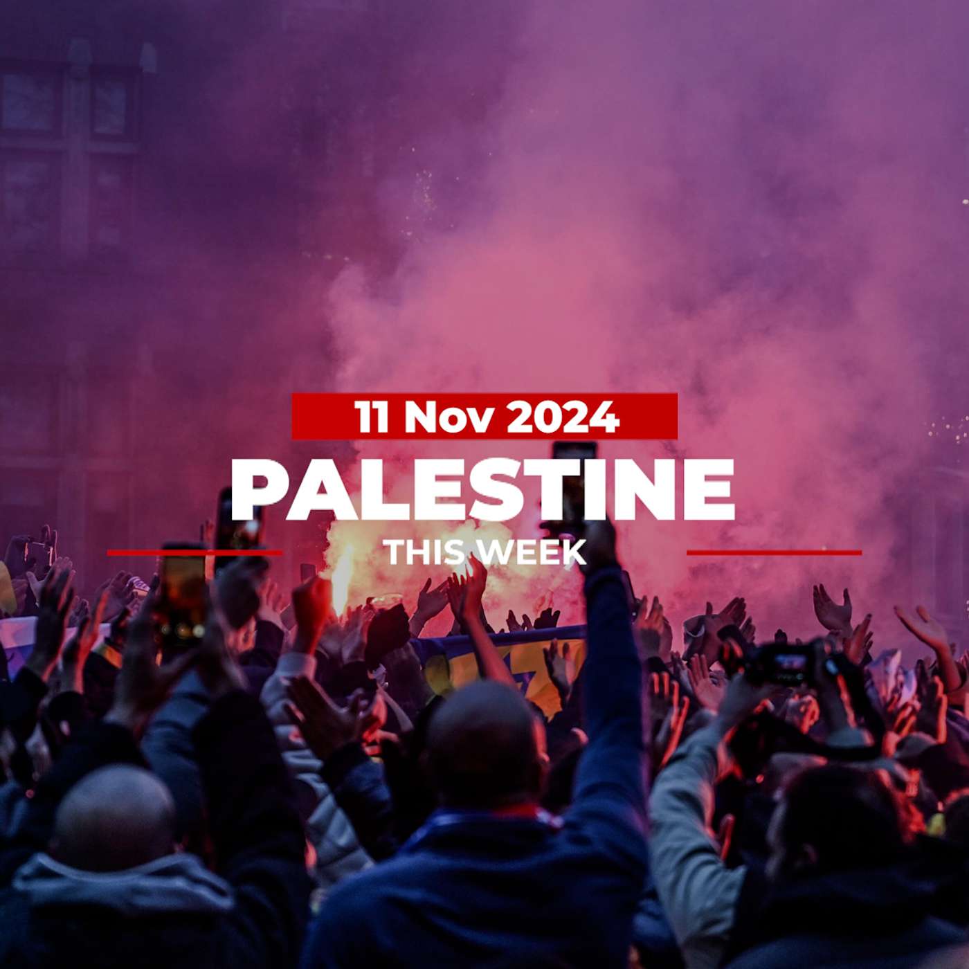 Palestine This Week