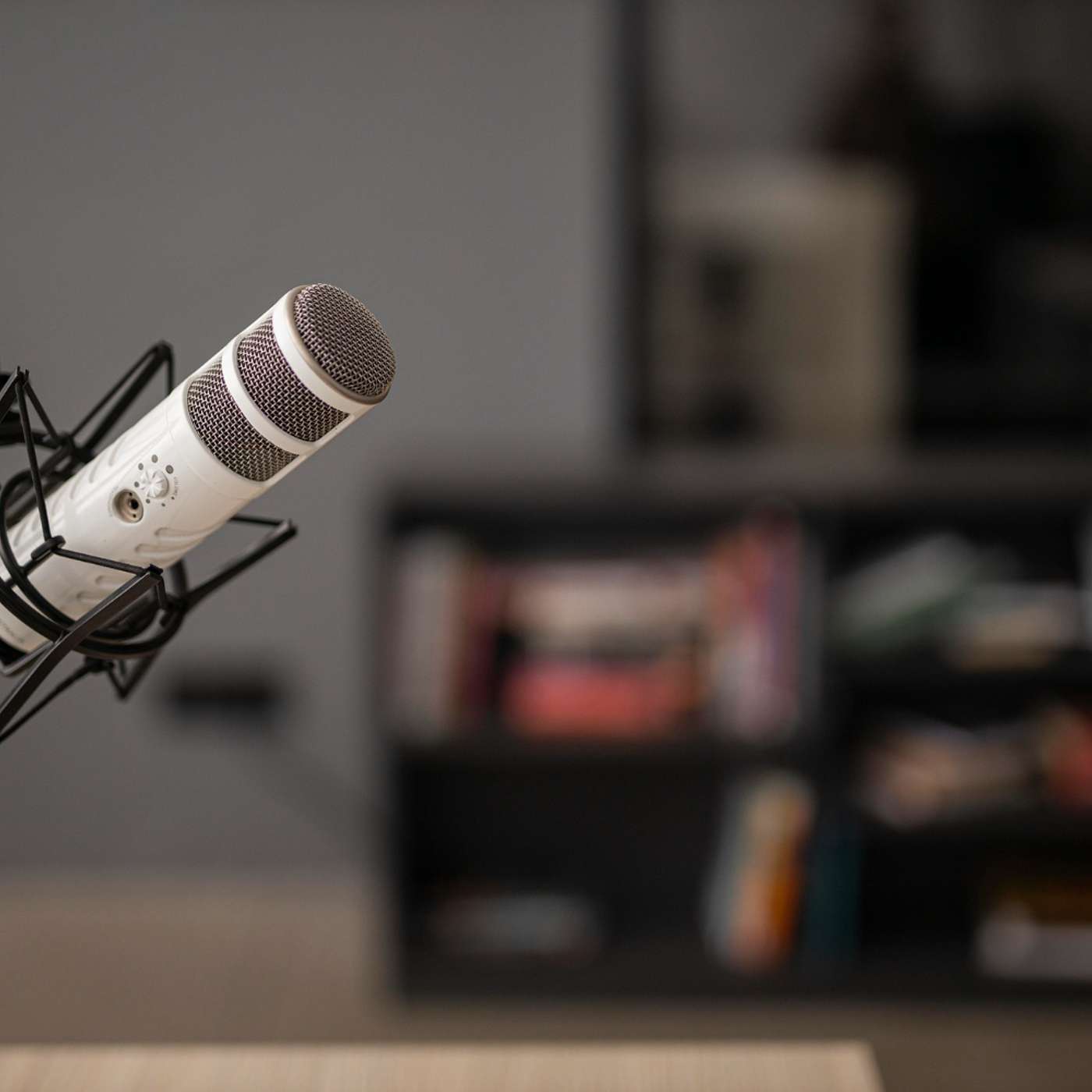 The Visionary Voices podcast artwork