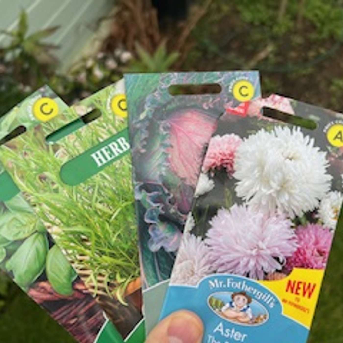 It's Seed Sowing Time!