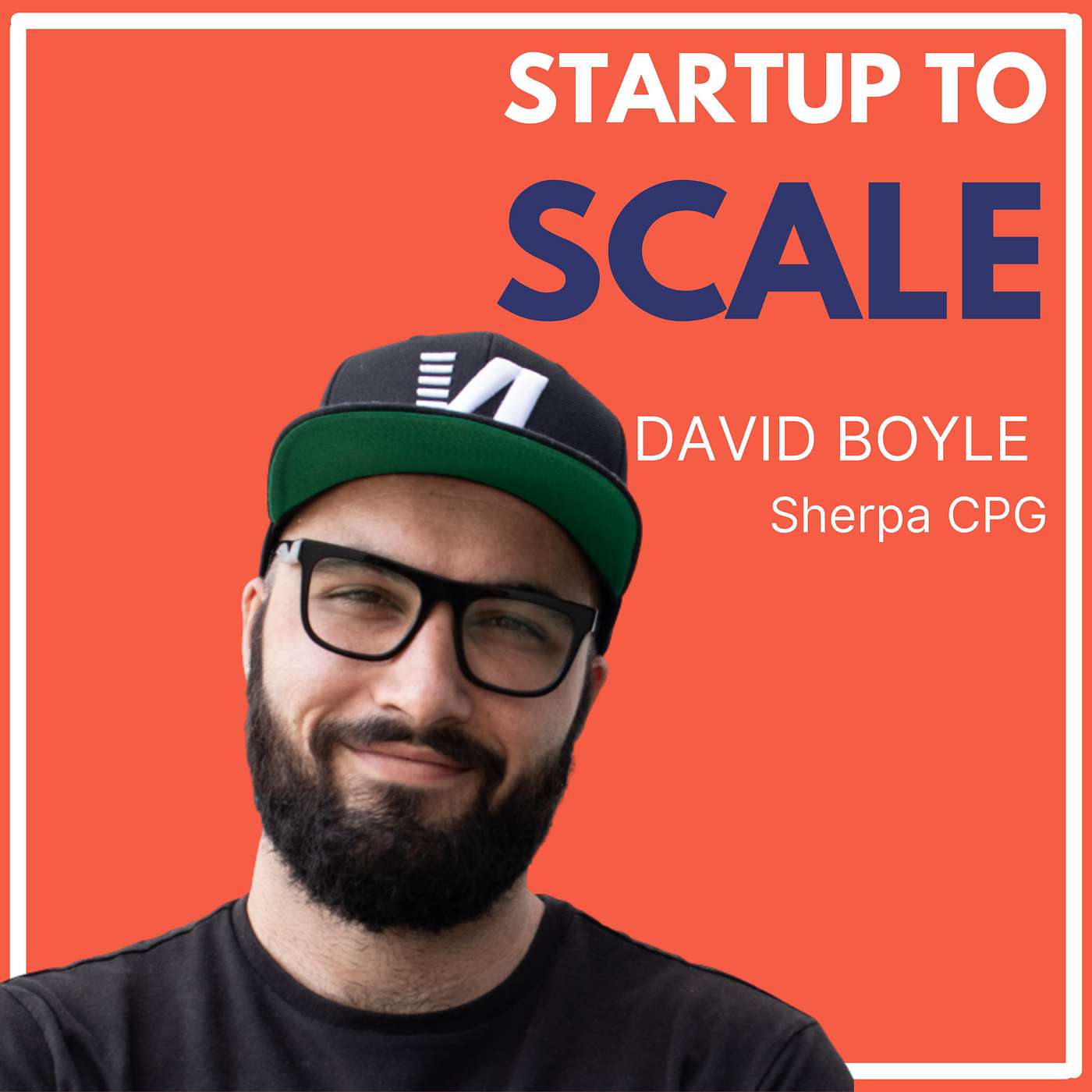 Startup To Scale