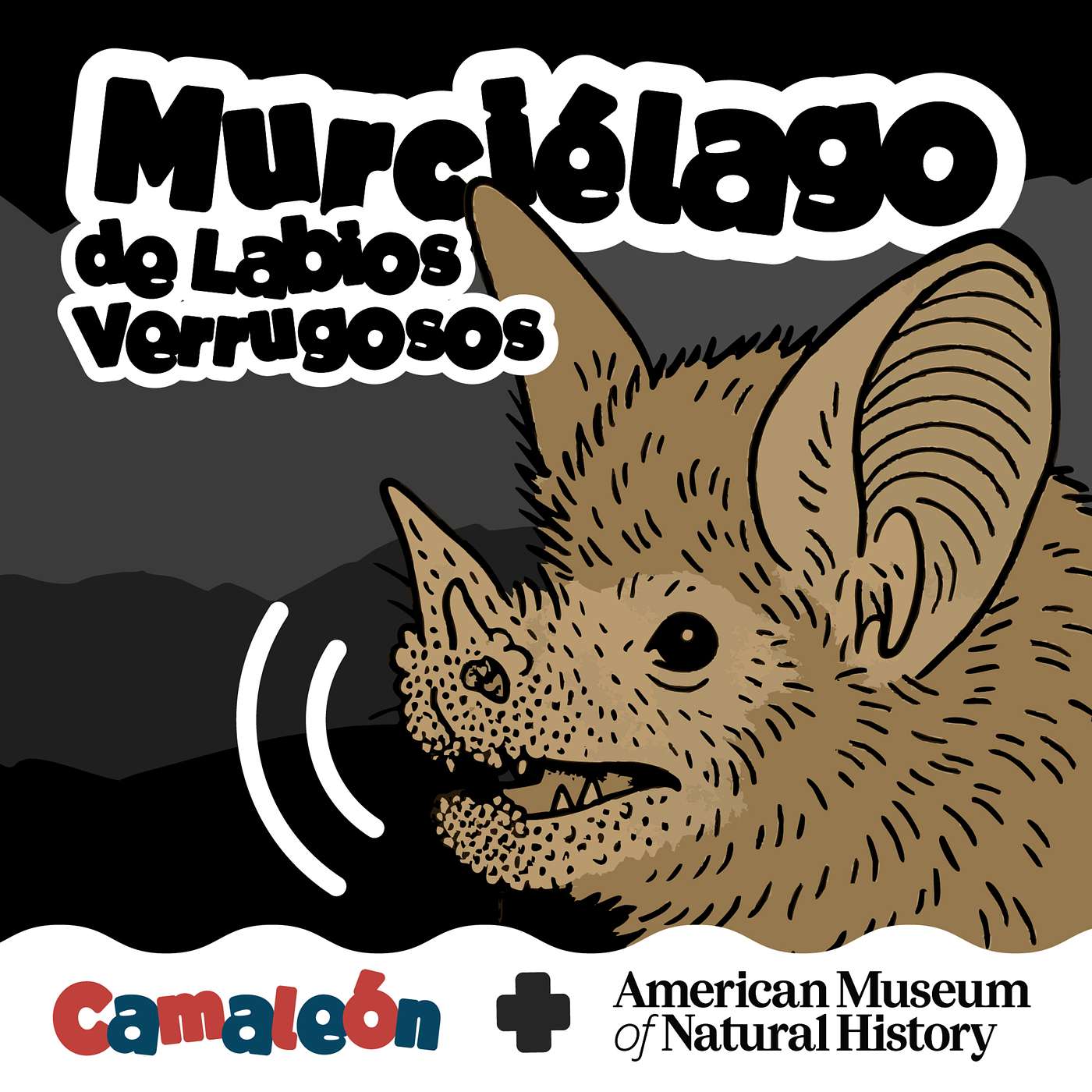 Murciélago de labios verrugosos: Radar con orejas gigantes episode artwork