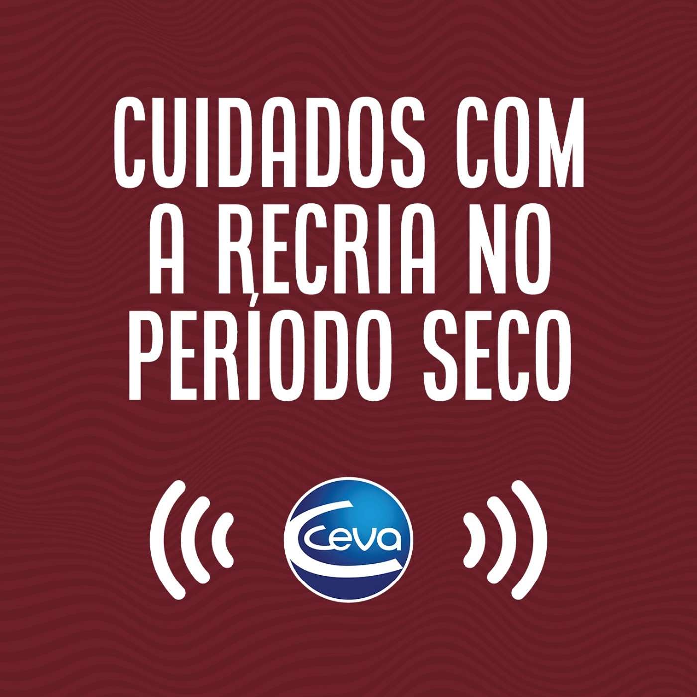 Recria #04 Suplementação ativadora metabólica no período seco do ano episode artwork