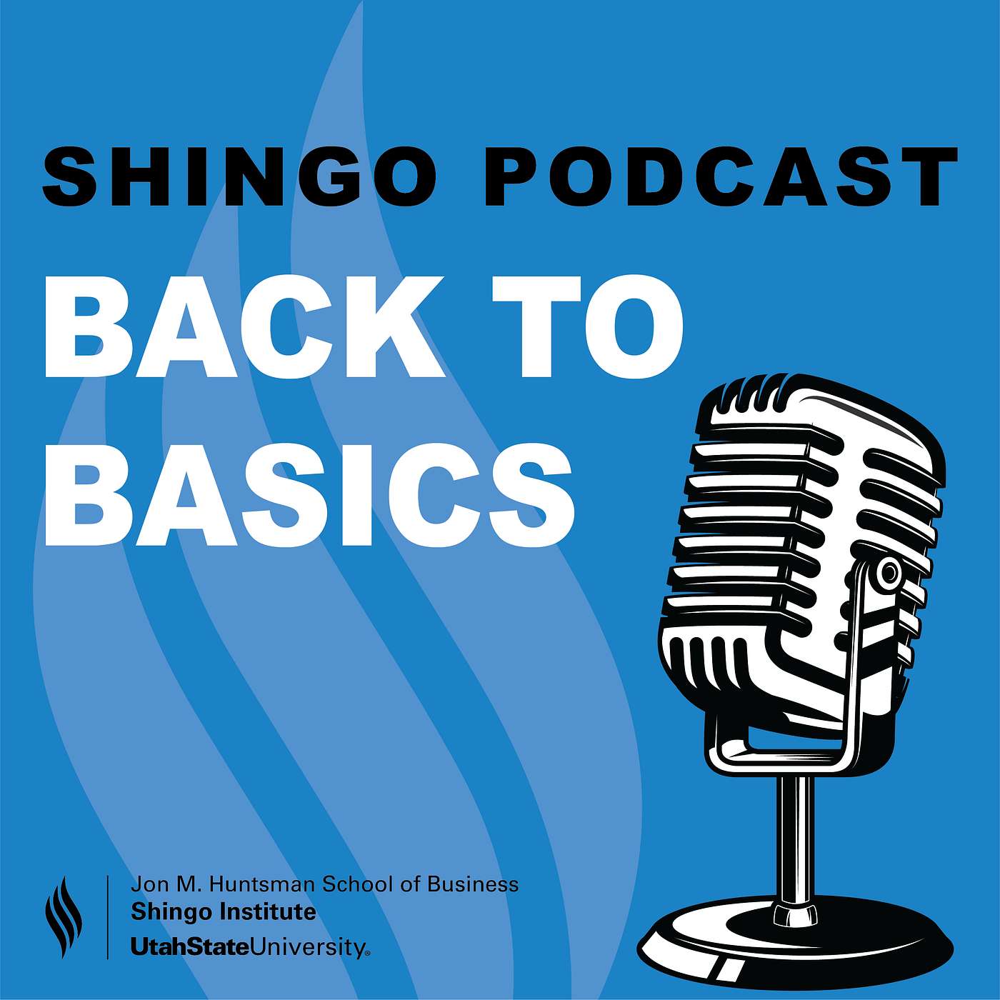 Episode 6: Back to Basics: Transformation, Leadership, and Continuous Improvement episode artwork