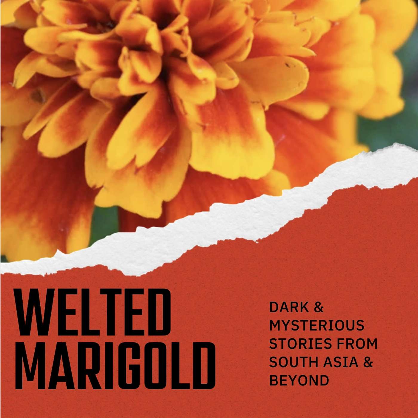 35 piece murder : shraddha walkar murder case - Indian True Crime