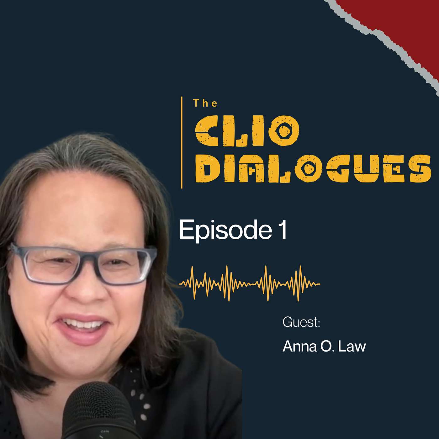 Birthright Citizenship: Rethinking American Immigration History | Anna O. Law episode artwork