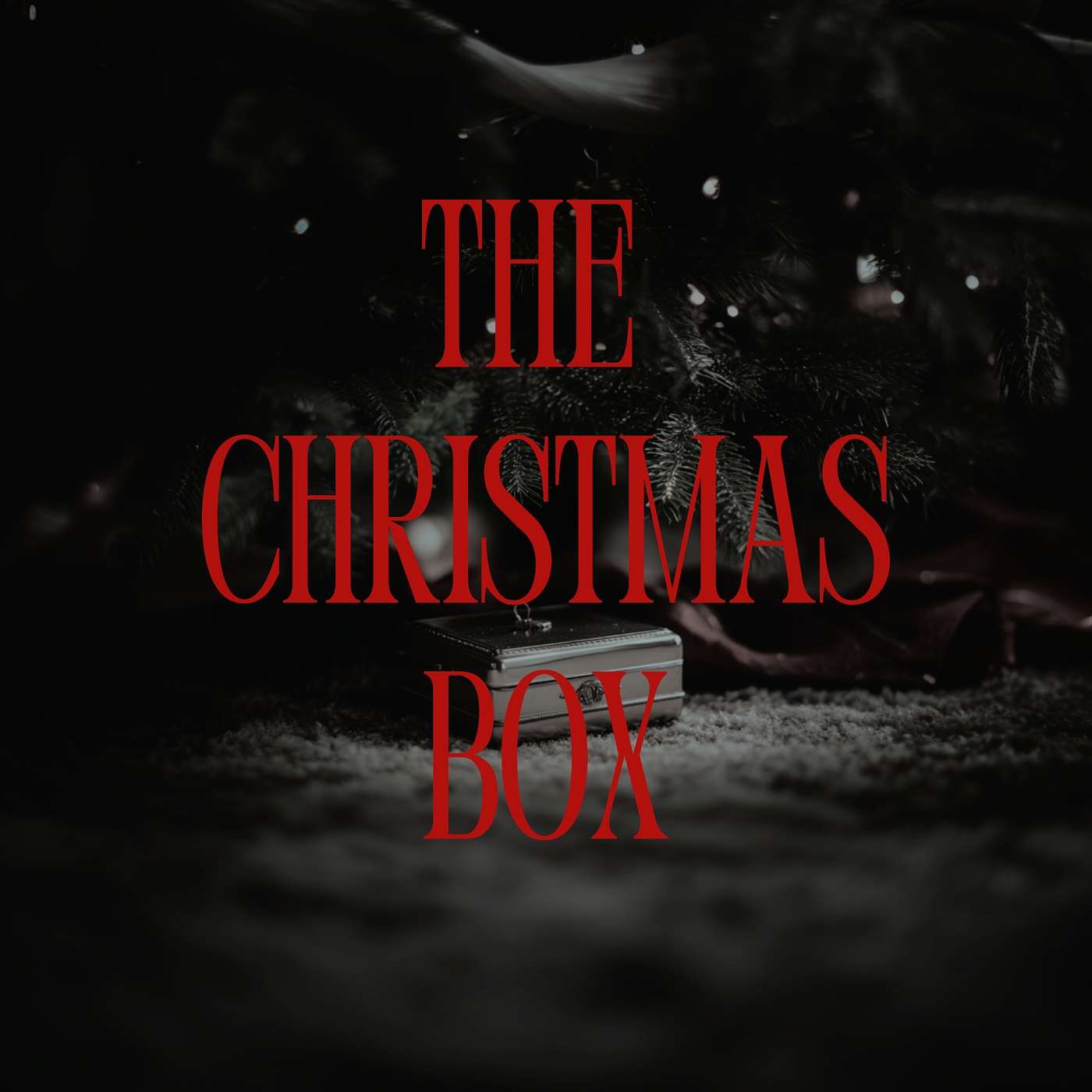 The Christmas Box