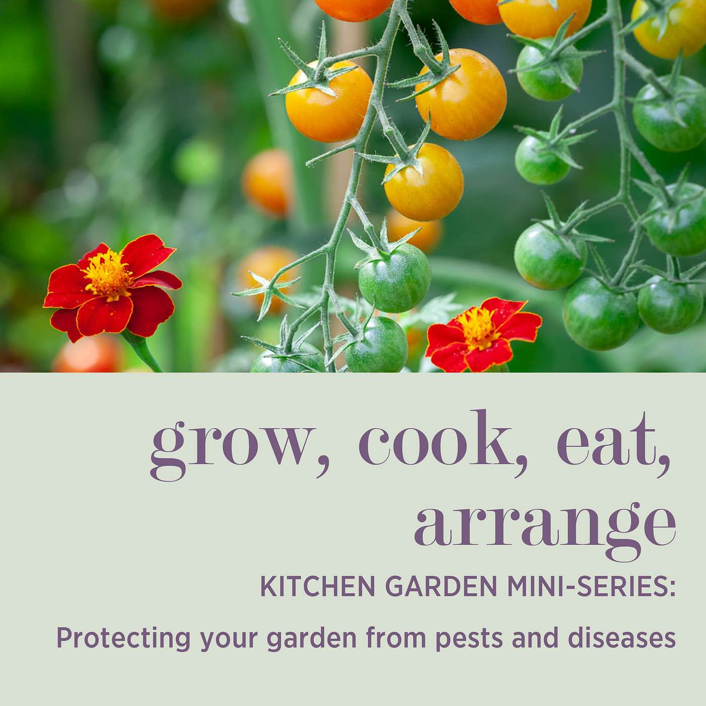 cover of episode KITCHEN GARDEN MINI-SERIES: Protecting Your Garden from Pests and Diseases