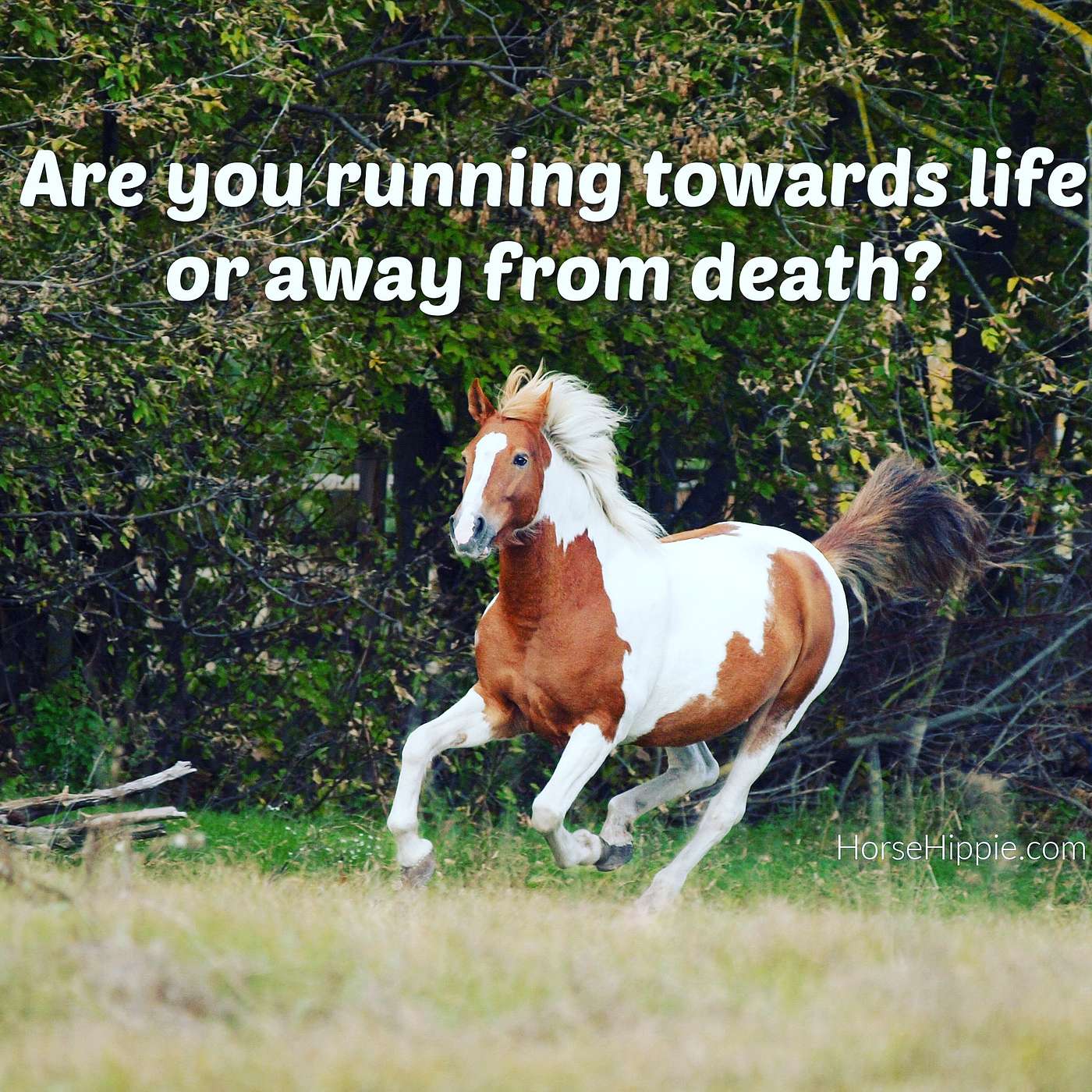Run TOWARDS Life