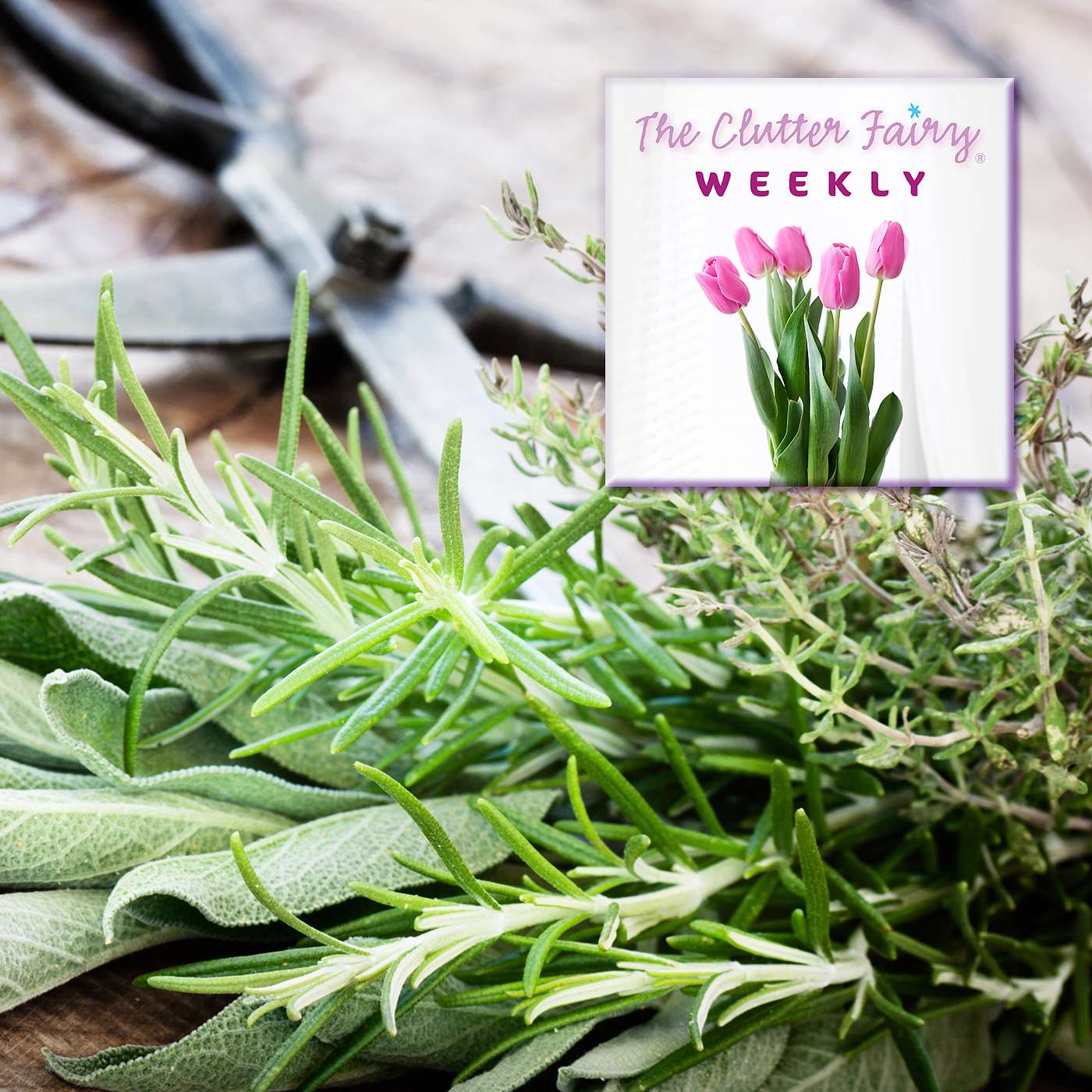 The Clutter Fairy Weekly
