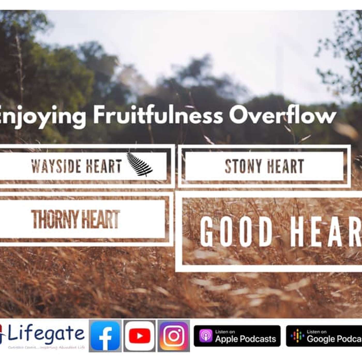 Destroying the Wayside Heart (Enjoying Fruitfulness Overflow) - Lifegate Church - 7.3.21 episode artwork