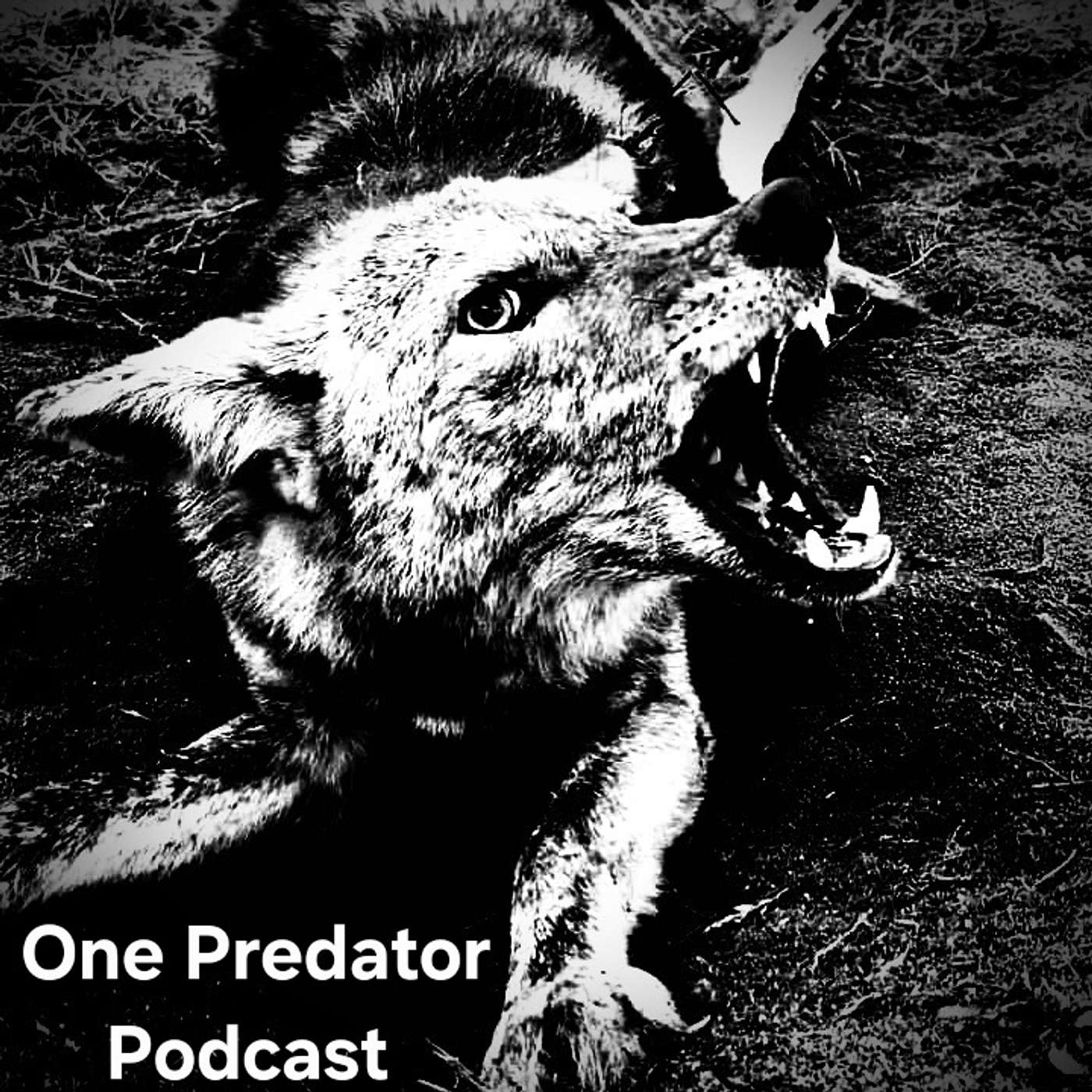 Episode 48. Pennsylvania Predator Management is back. JP and Jeremy talk fox.