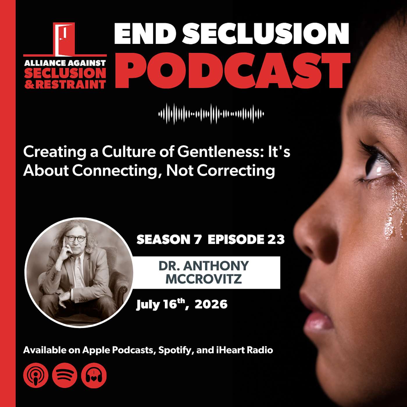 Creating a Culture of Gentleness: It's About Connecting, Not Correcting episode artwork