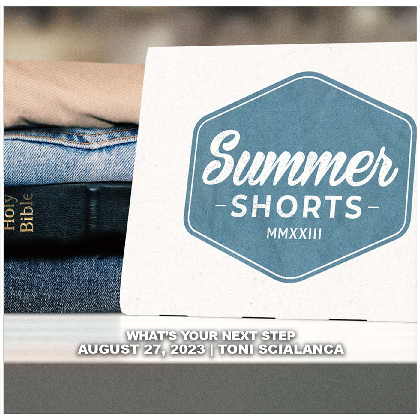August 27, 2023 - What’s Your Next Step - Summer Shorts episode artwork
