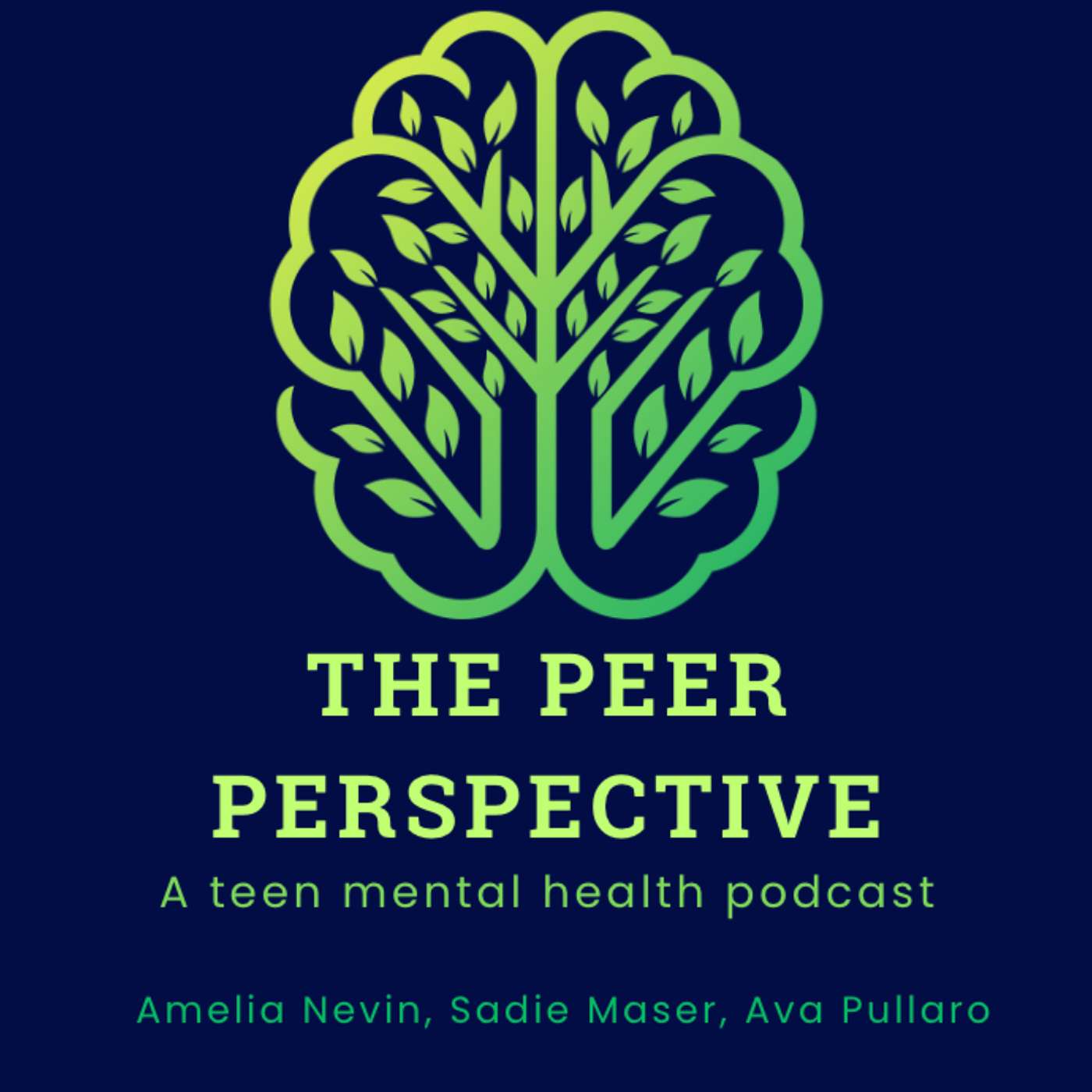 The Peer Perspective - Episode 1