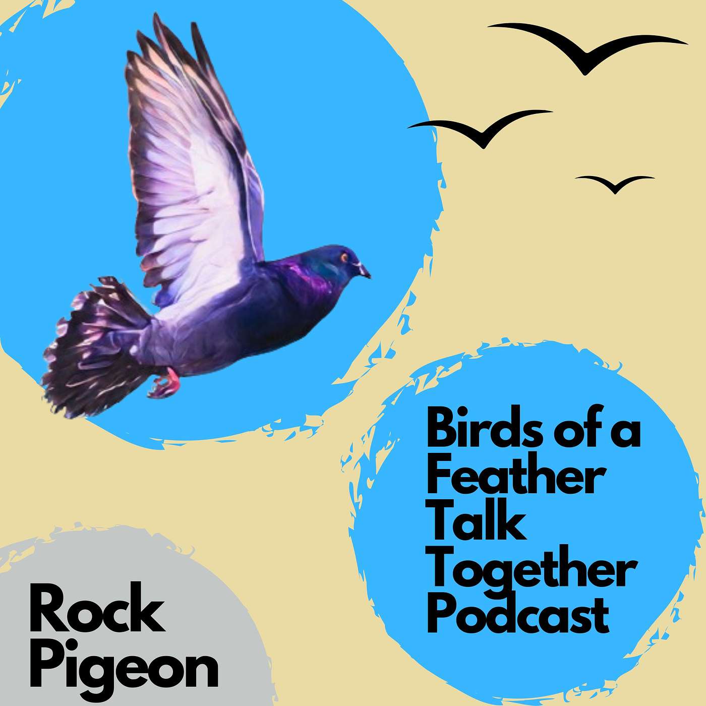 Birds of a Feather Talk Together