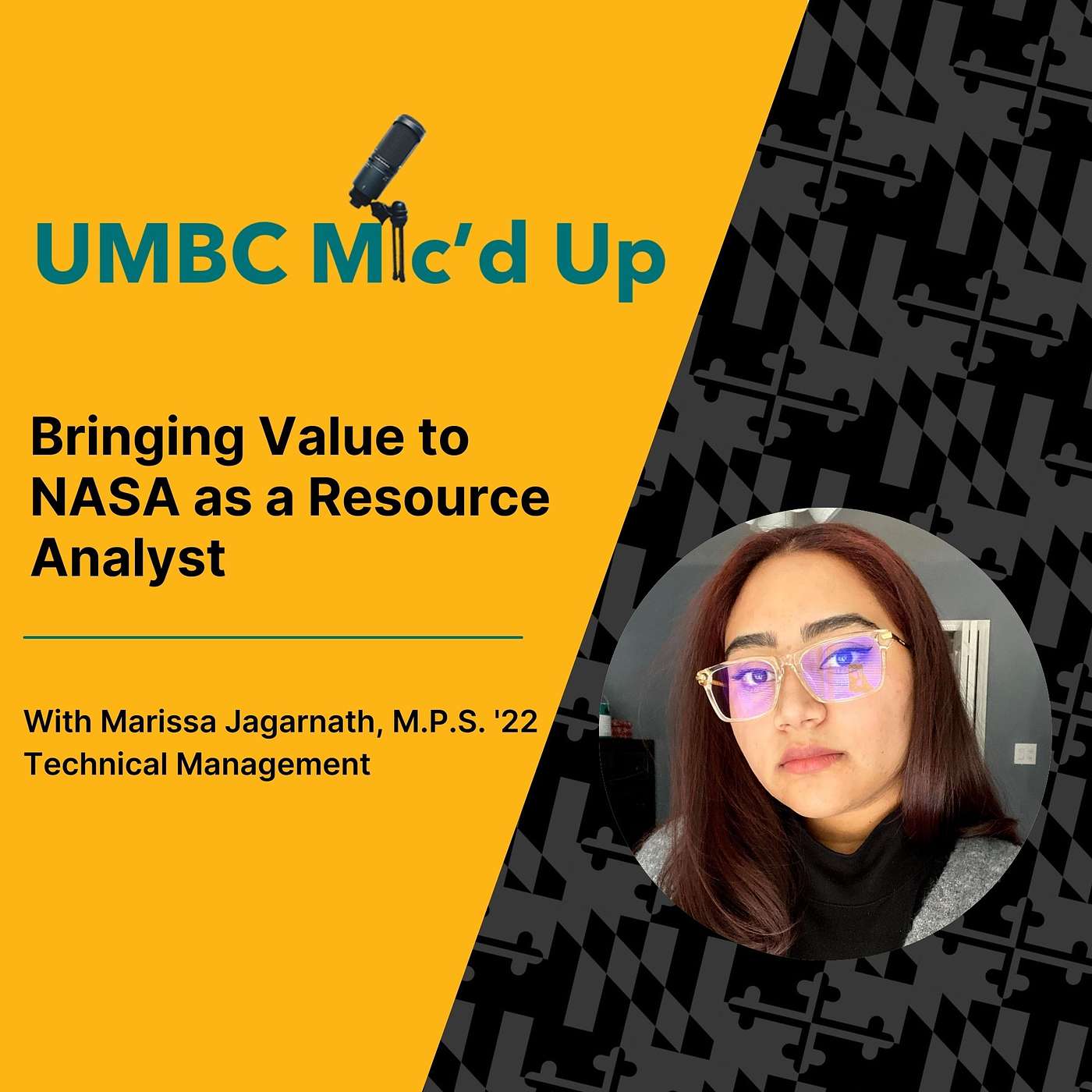 Bringing Value to NASA as a Resource Analyst