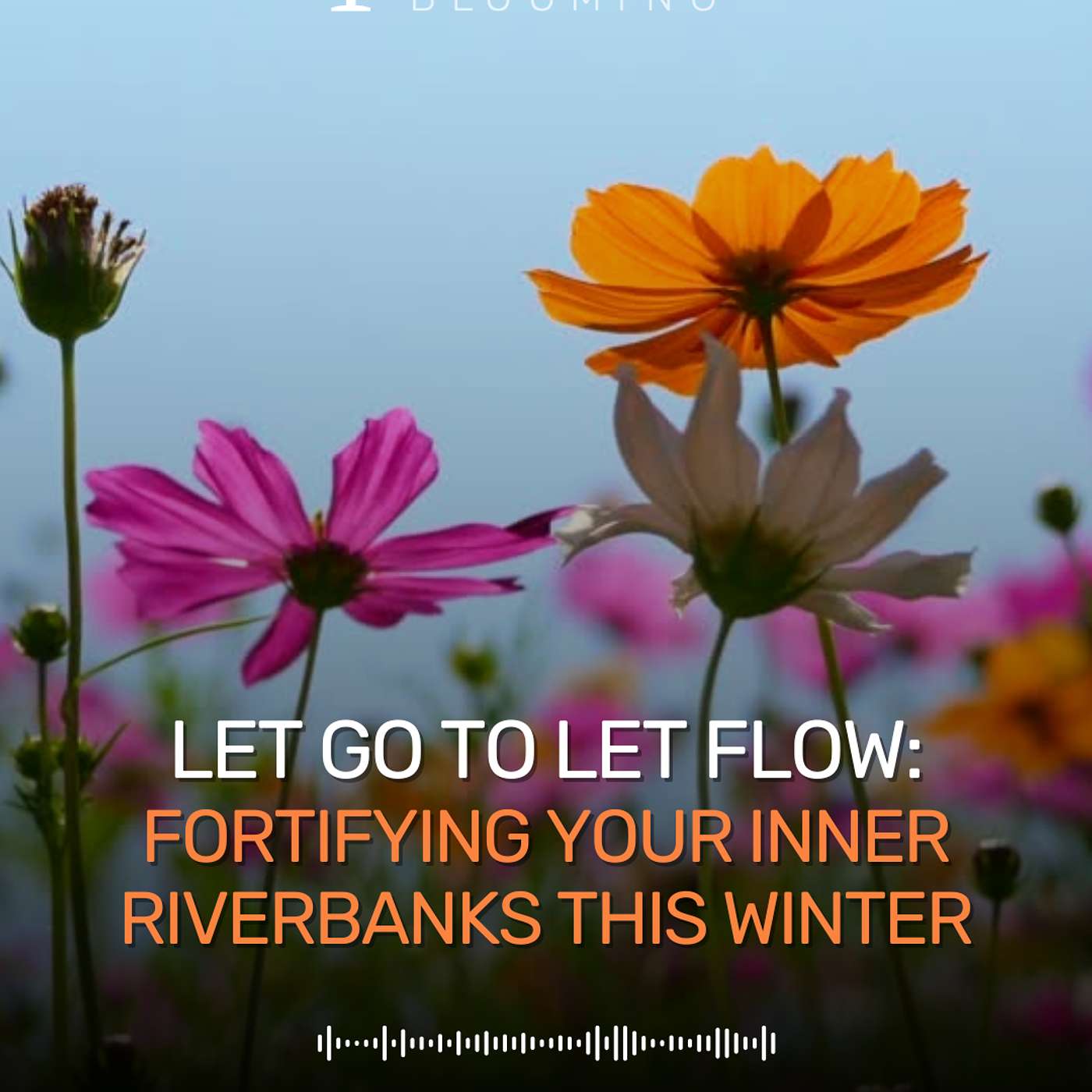 Let Go to Let Flow: Fortifying Your Inner Riverbanks this Winter