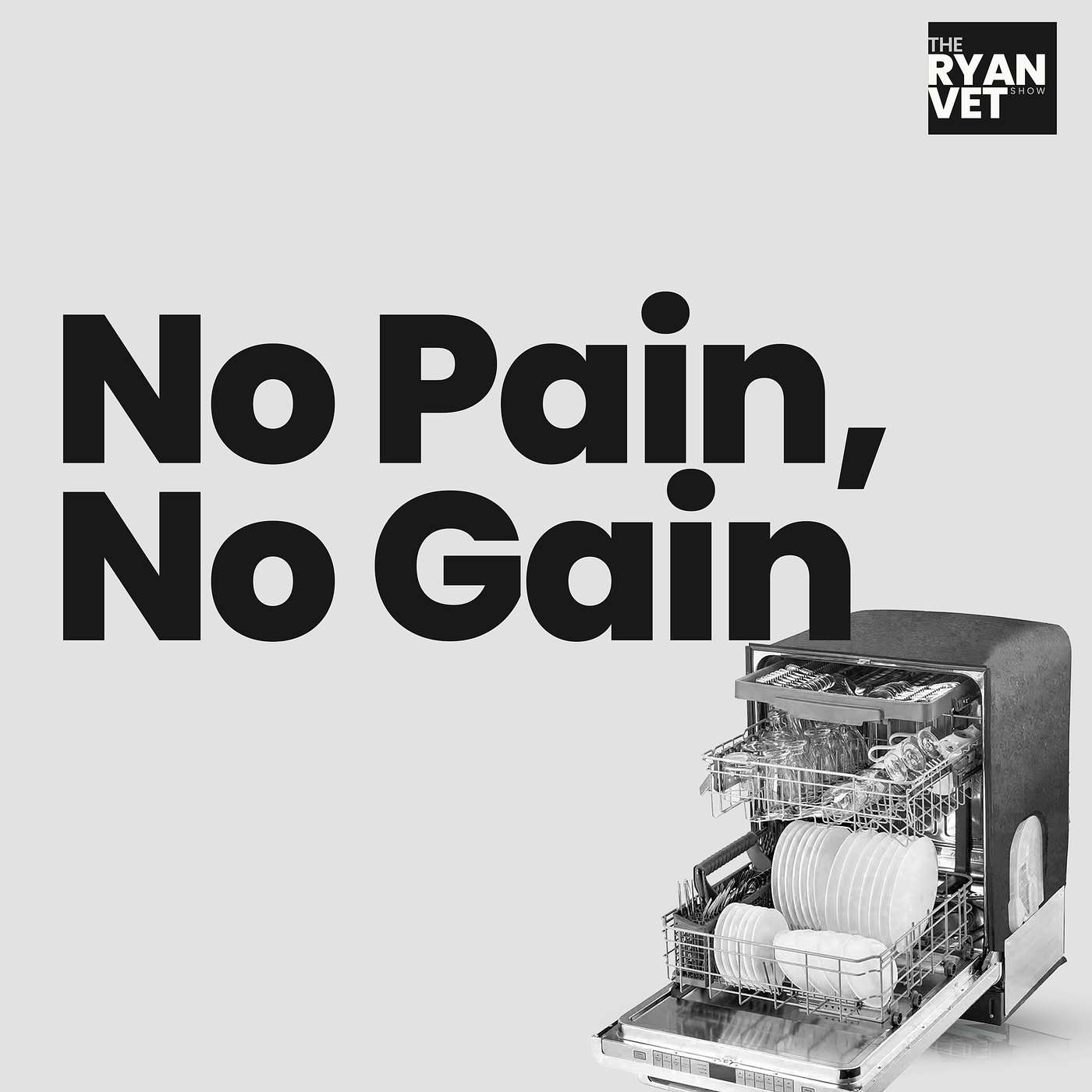 What We Lost When Life Got Easier - Washing Machines, Dishwashers, and The Velocity Gap episode artwork